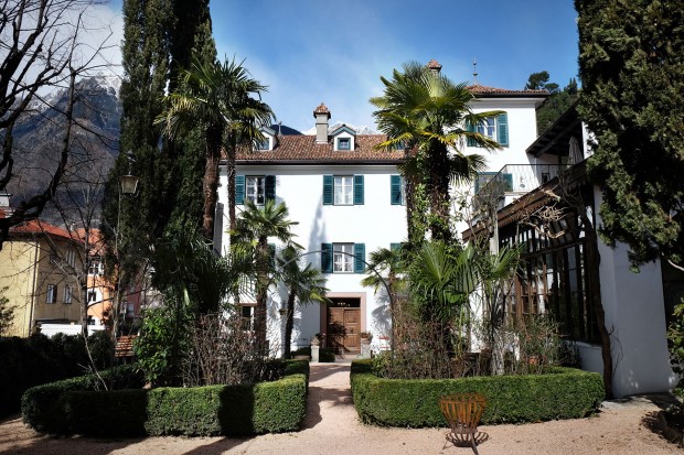 Palm Trees and Alpine Peaks