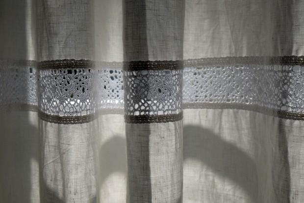 Palm Trees and Alpine Peaks